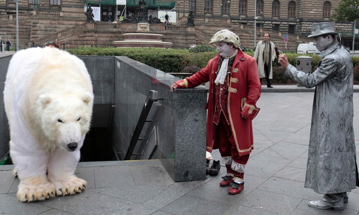 Prague, Czech Republic A street performer snaps a Greenpeace polar bear campaigning against an experimental research oil drilling by Shell in the Arctic