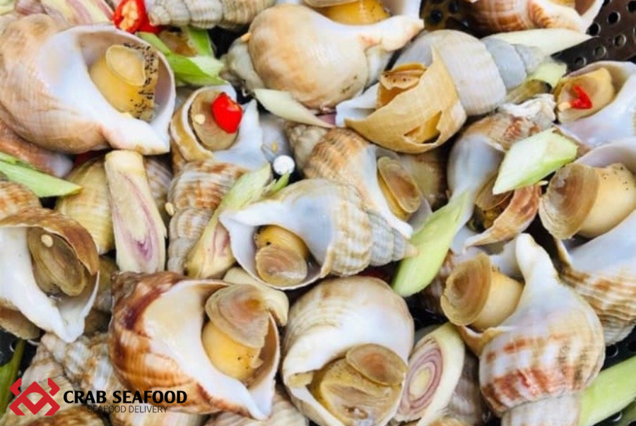 Ốc Bulot Pháp Là Ốc Gì? Điểm Qua Một Số Thông Tin Thú Vị Về Ốc Bulot - Crab Seafood