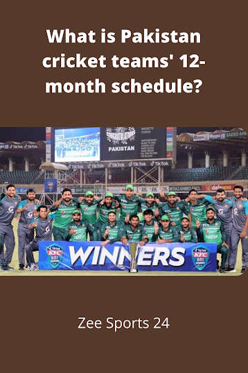 What is the Pakistan cricket teams' 12-month schedule?