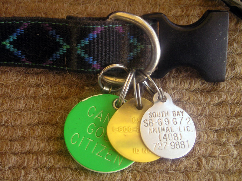 File:DogTags license fxwb.jpg - Wikimedia Commons