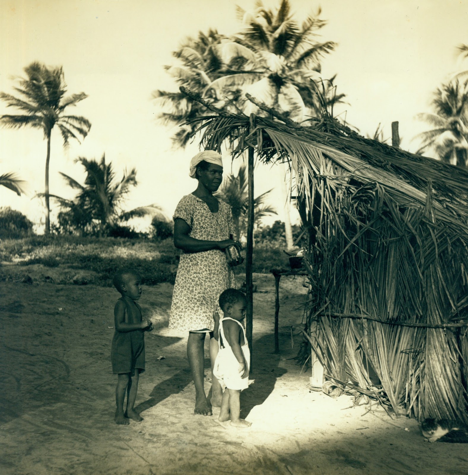 Copy of (Little africa Boca de Cangrejo) Edwin Rosskam 1946.tif