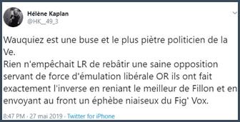 Tweet Hélène Kaplan Wauquiez est une buse