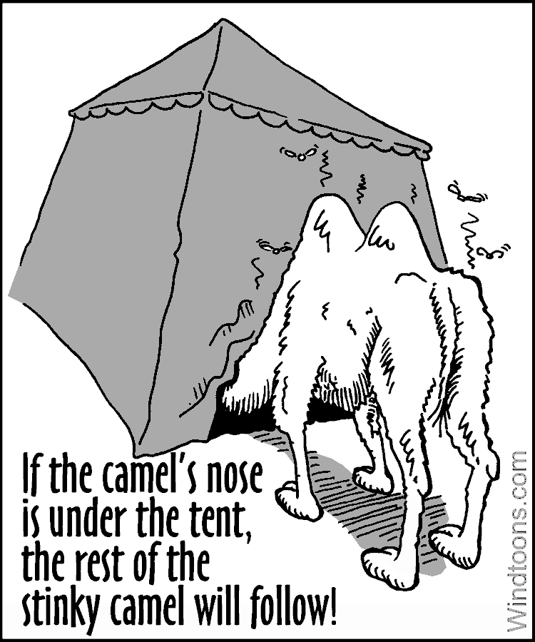 Image result for camel's nose cartoons