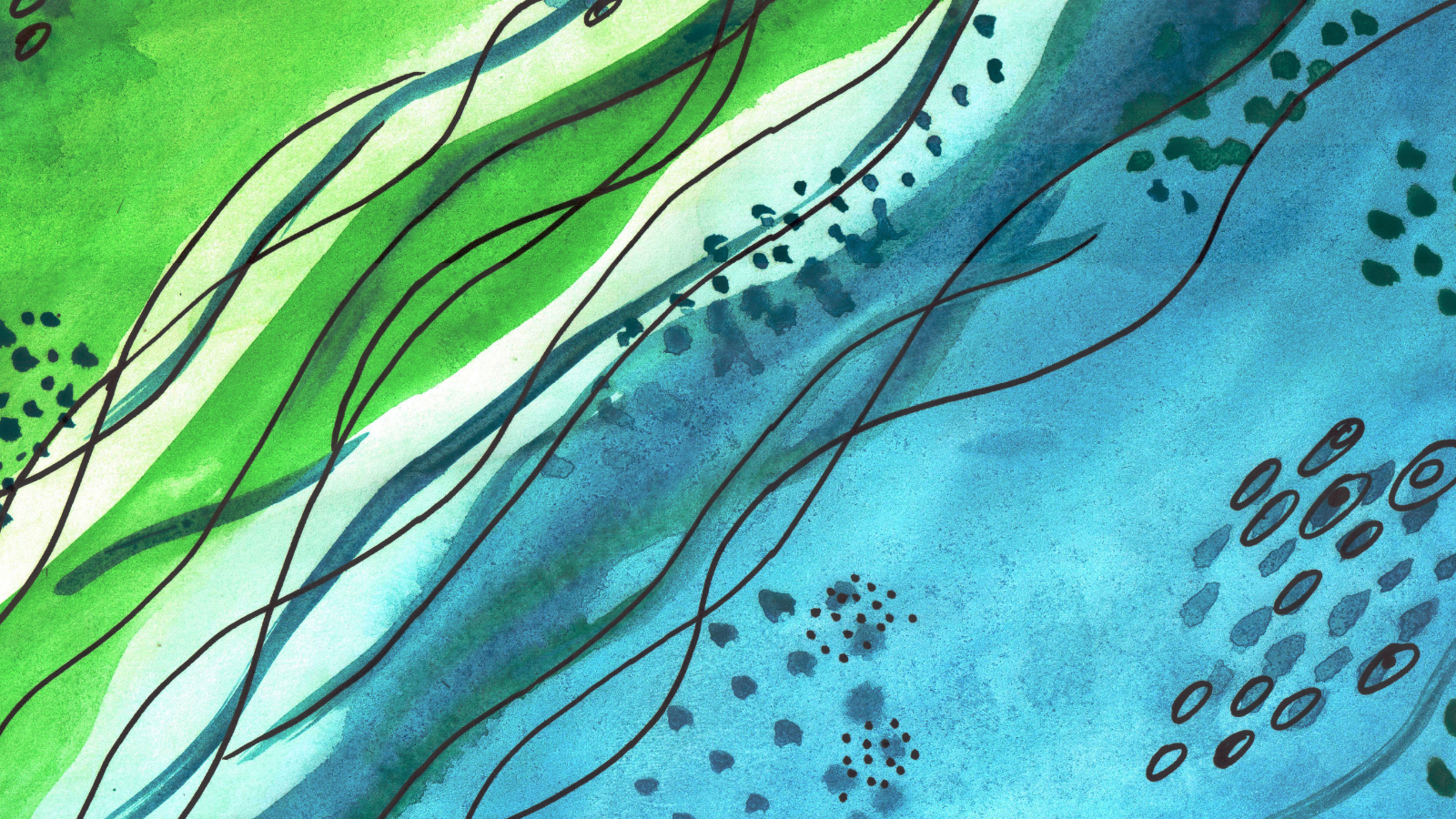Line drawings with blue and green watercolour wash