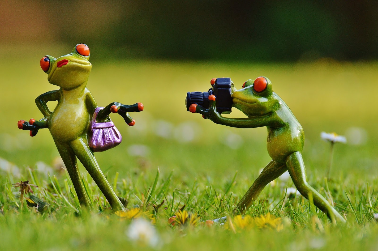 erros que fotógrafos iniciantes