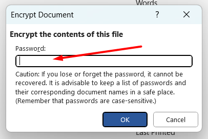 how to password protect a Word document- Set the password