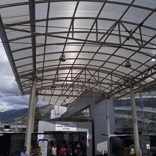 Opiniones de Transportes Panamericana Internacional en Quito - Servicio de transporte