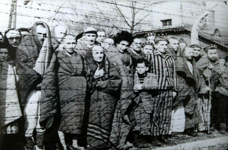 File:Auschwitz Liberated January 1945.jpg