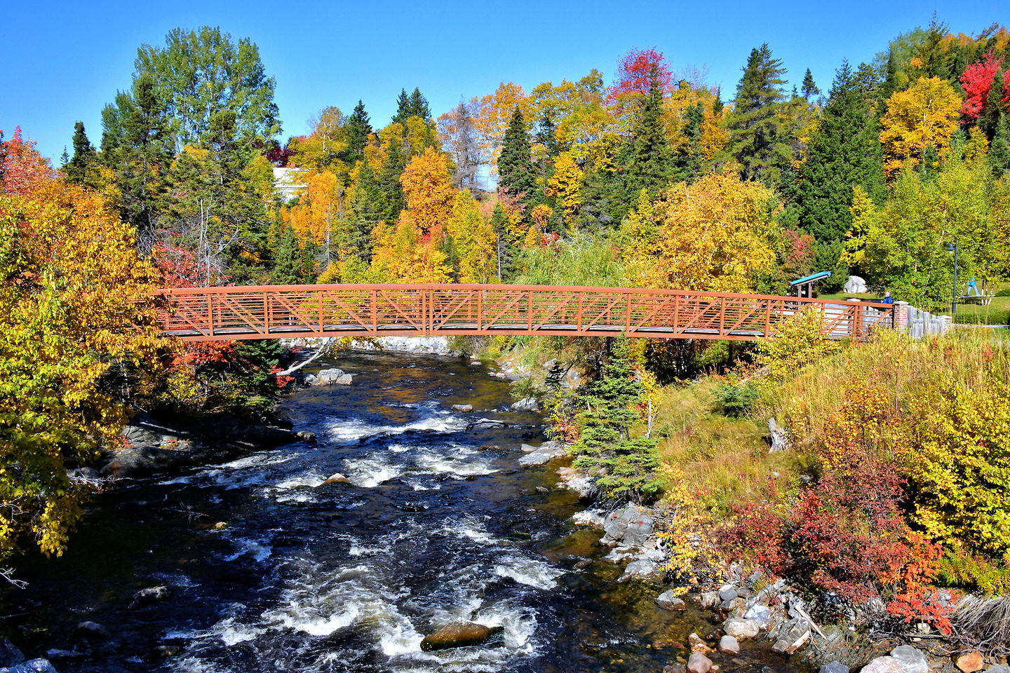 Top 19 things to do in Corner Brook, NL - Videos included (Best & Fun attractions)