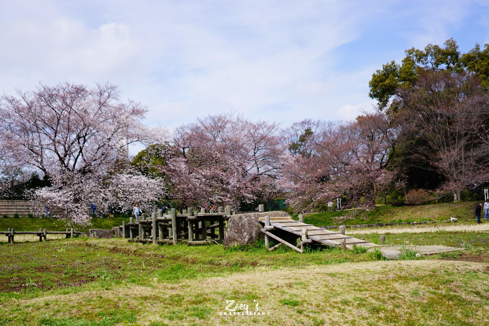 日本關東17 追櫻追到大宮公園 Zoey S 旅遊札記