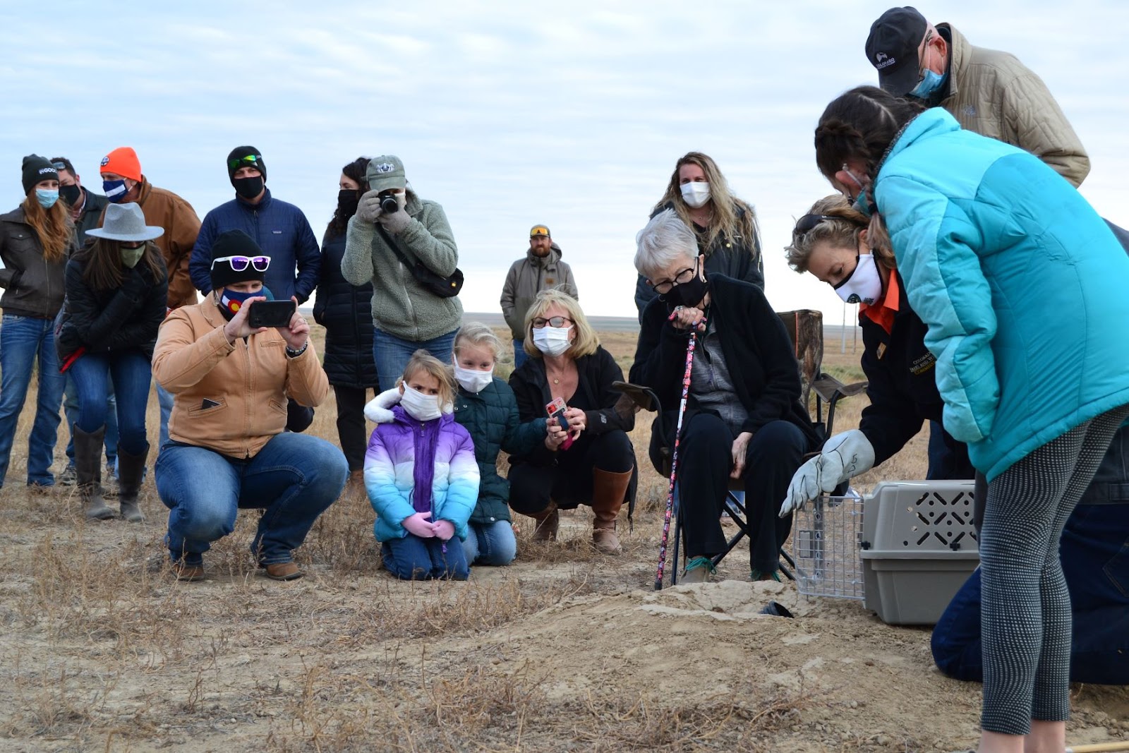 A group watches as a CPW agent opens the ferret cage to release animals into their new habitat