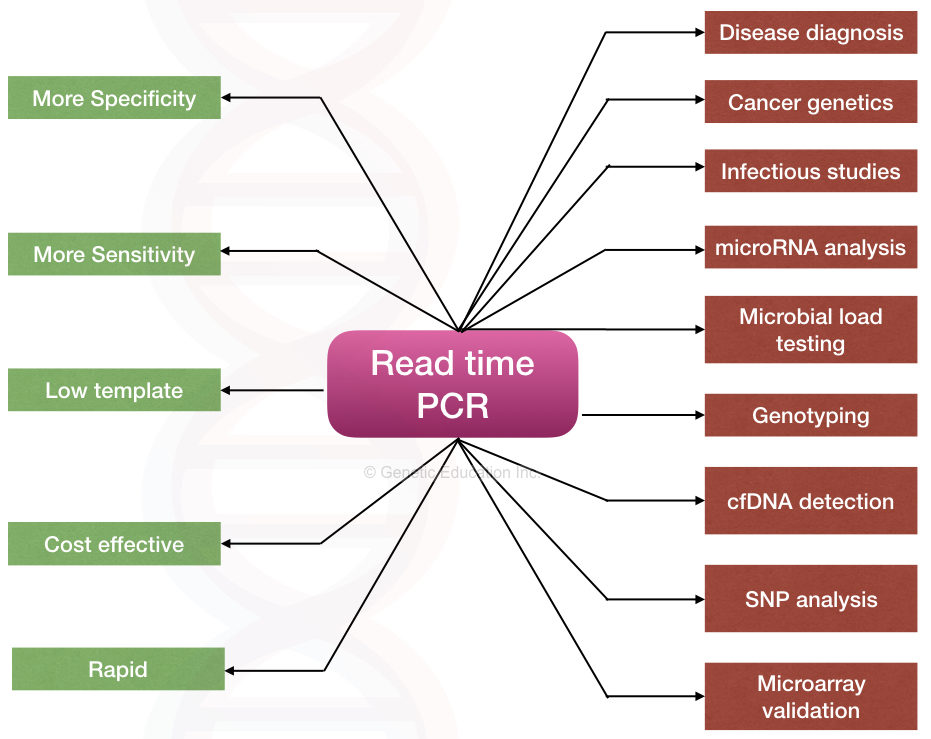 Advantages and applications of real-time PCR.