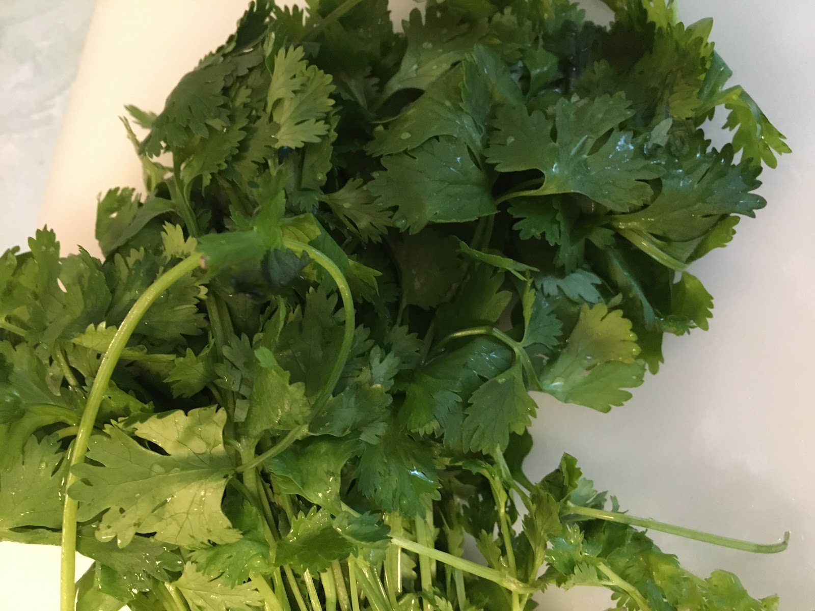 Cilantro on cutting board.  Can you smell it?  