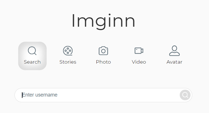 Screenshot of Imginn options