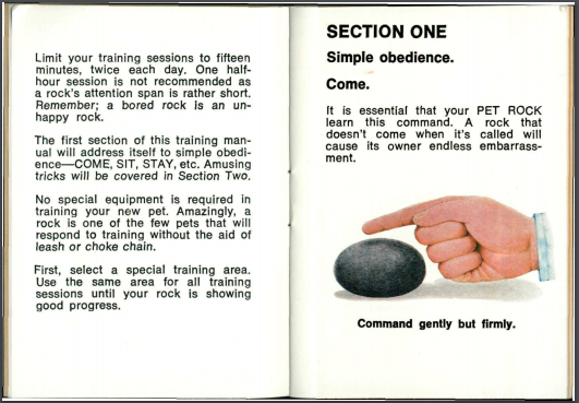 The Pet Rock