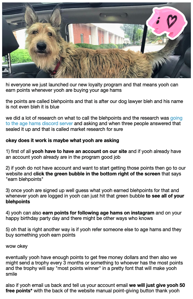 Branding checklist–A screenshot of Age Ham's loyalty program explainer email with an image of a shaggy dog as the header. 