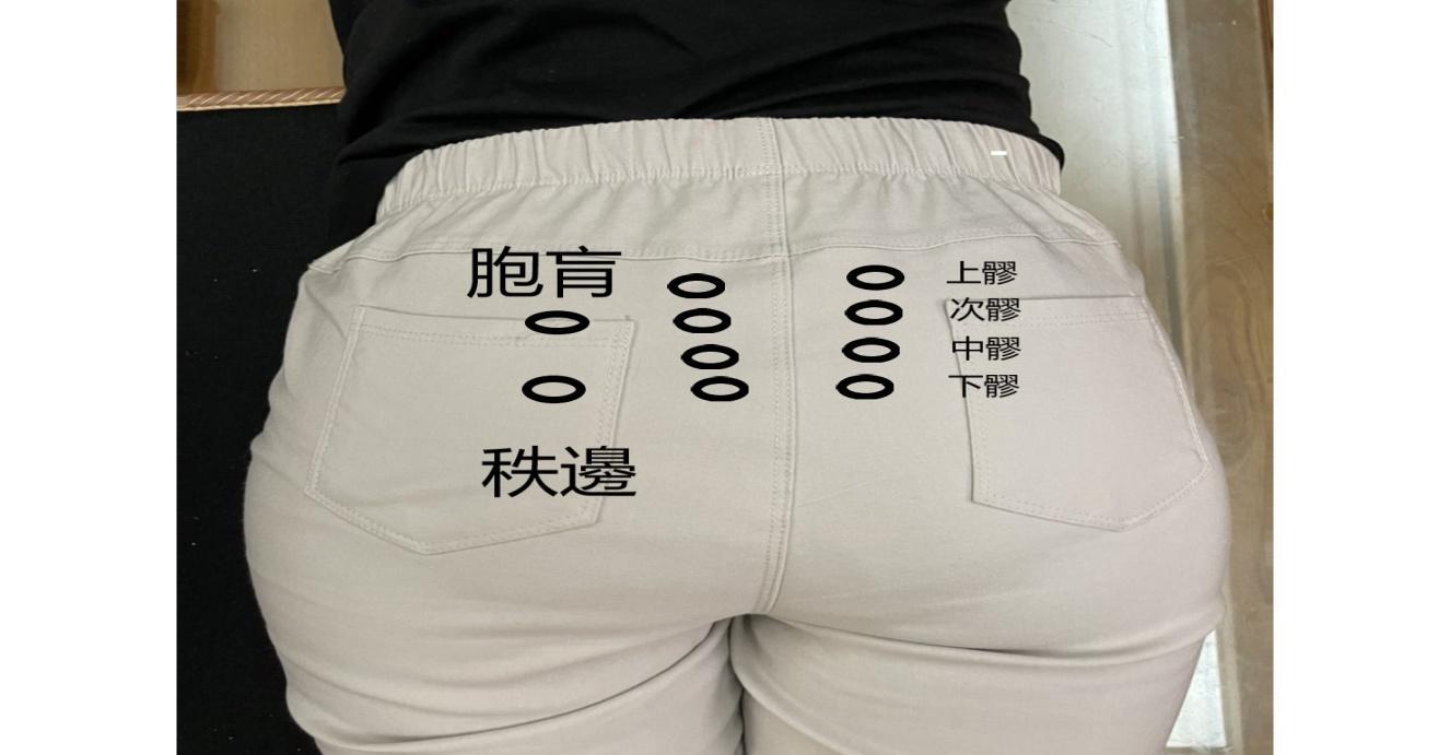 C:UsersLYCDesktop八髎2.jpg