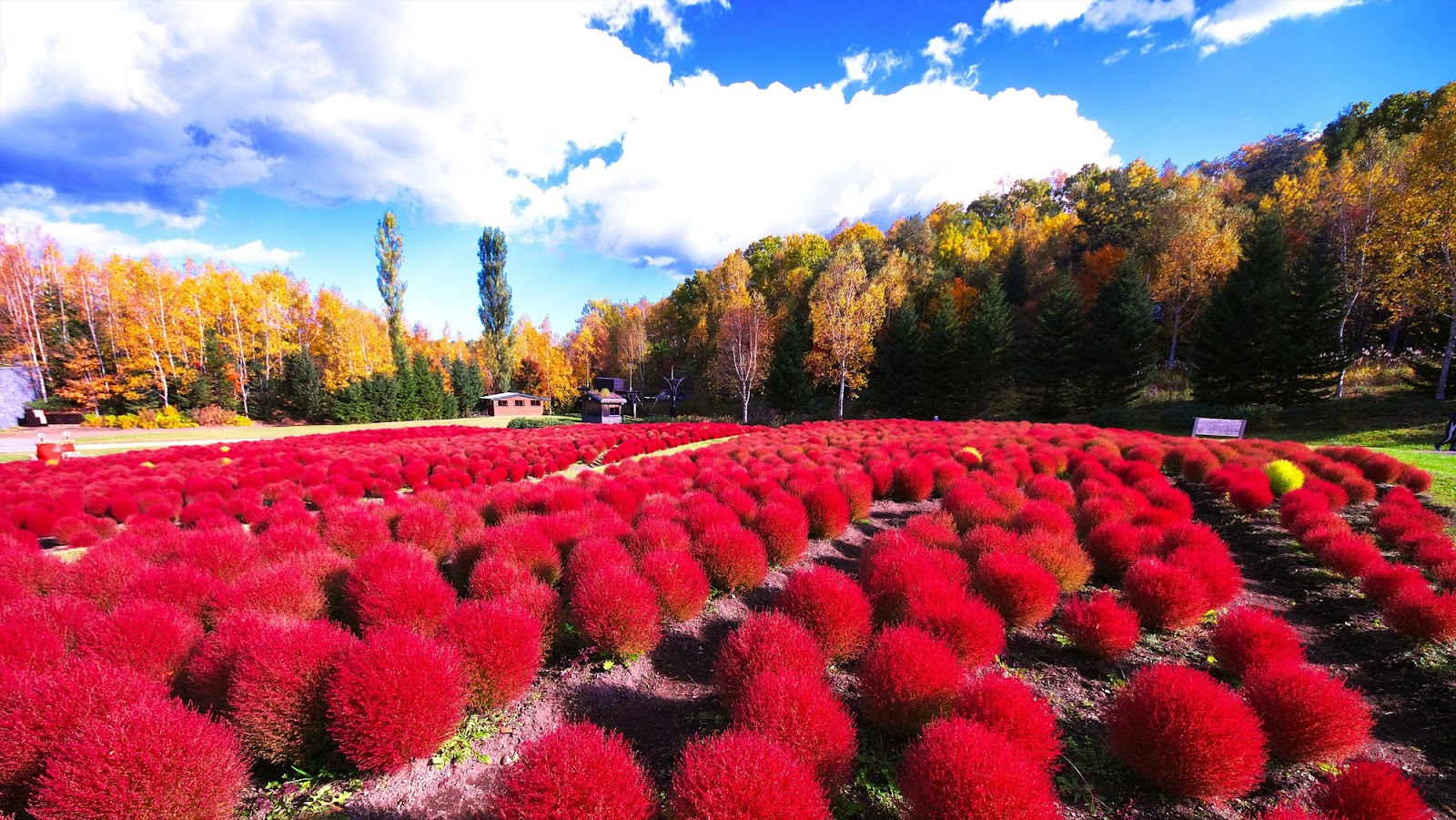 【道央エリア・札幌市南区】滝野すずらん丘陵公園