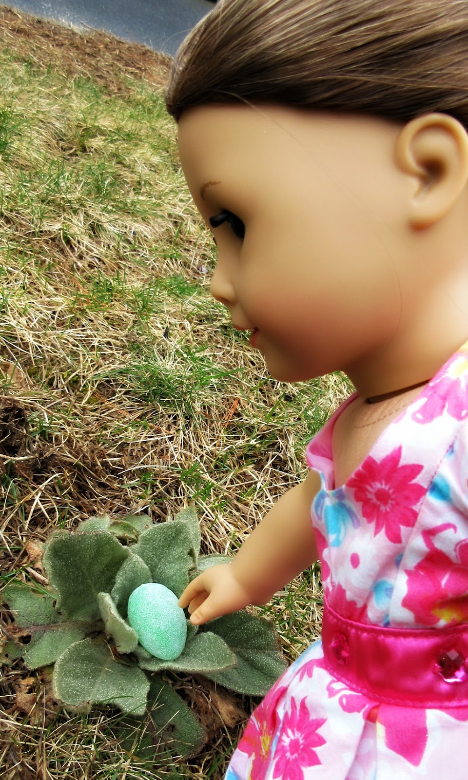 American girl doll Easter egg hunt.jpg