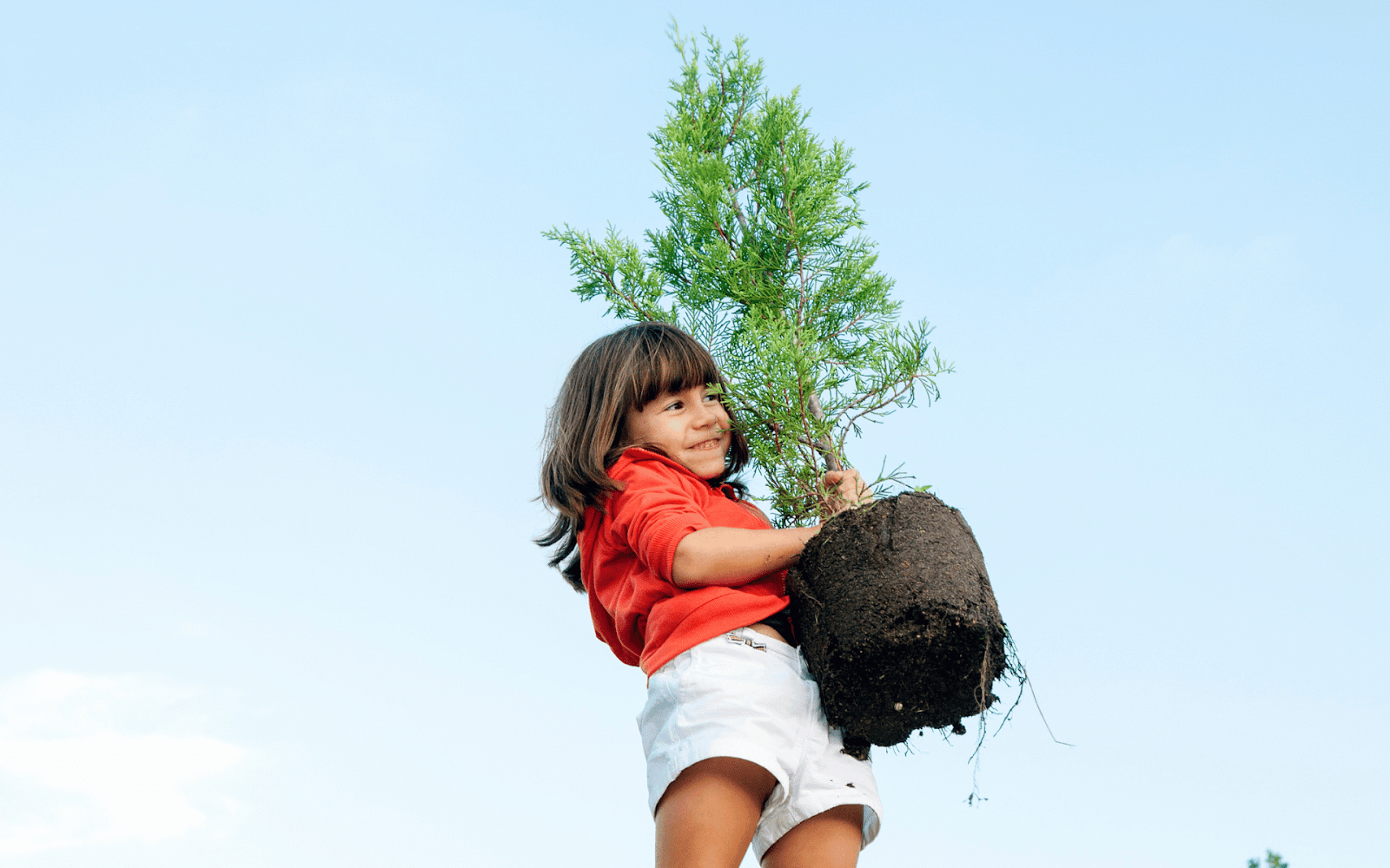 A child holding a treeDescription automatically generated with low confidence