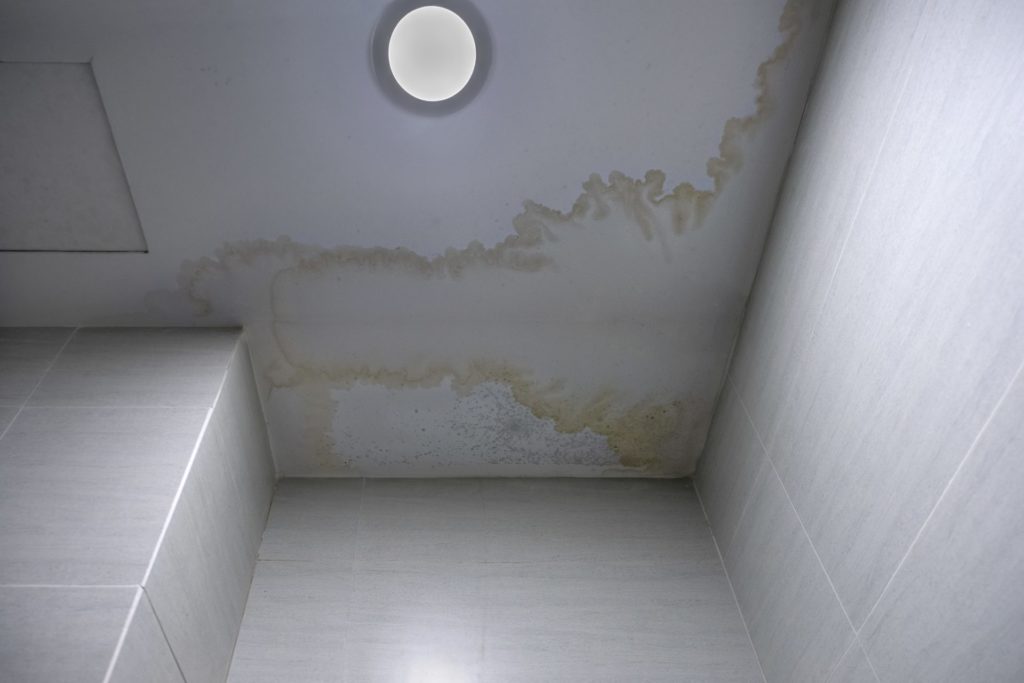 Mildew stains at ceiling