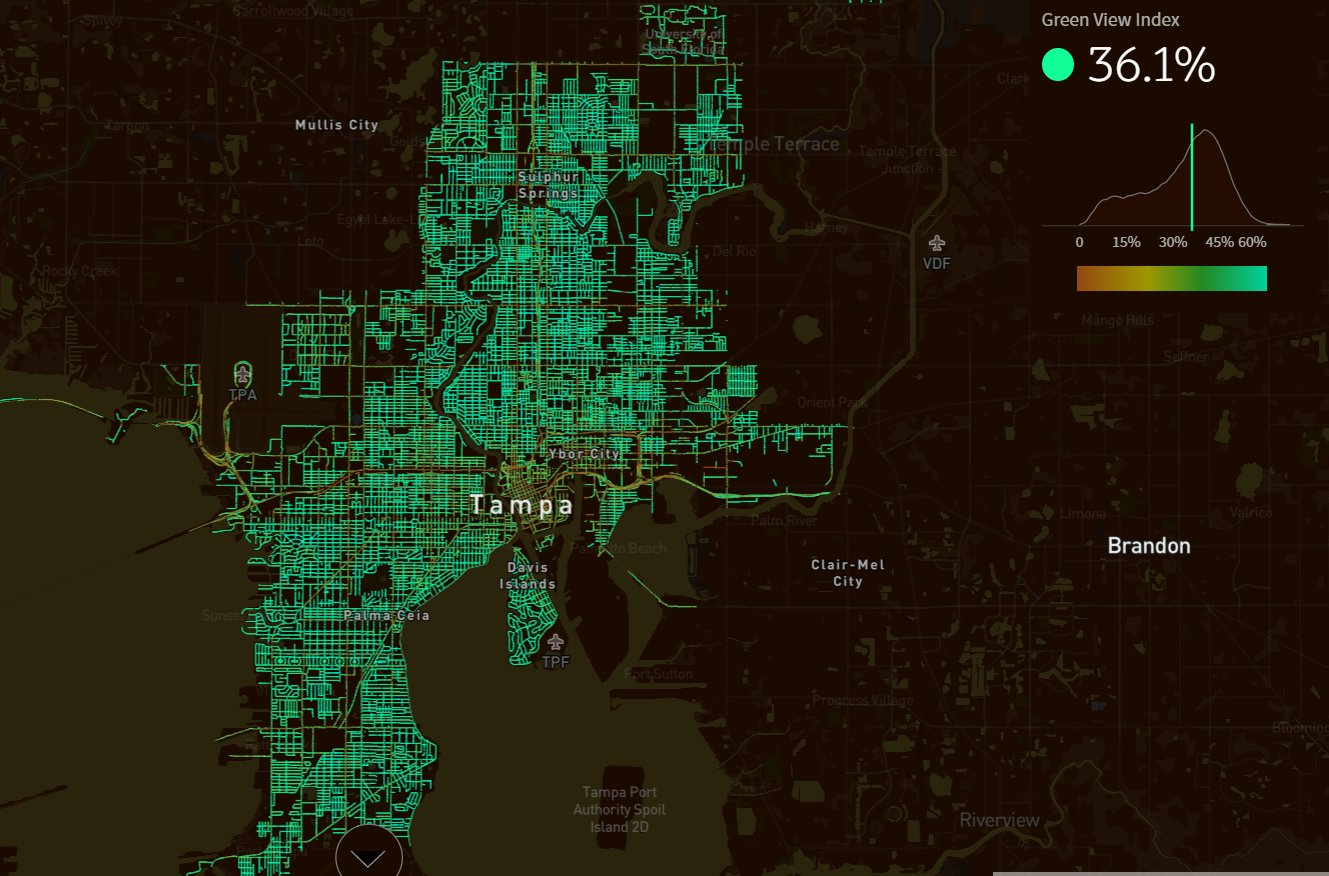 The vast majority of Tampa’s streets' Green View Indexes are in the 45-60% range. Large connective streets and the city center have lower Green View Indexes.