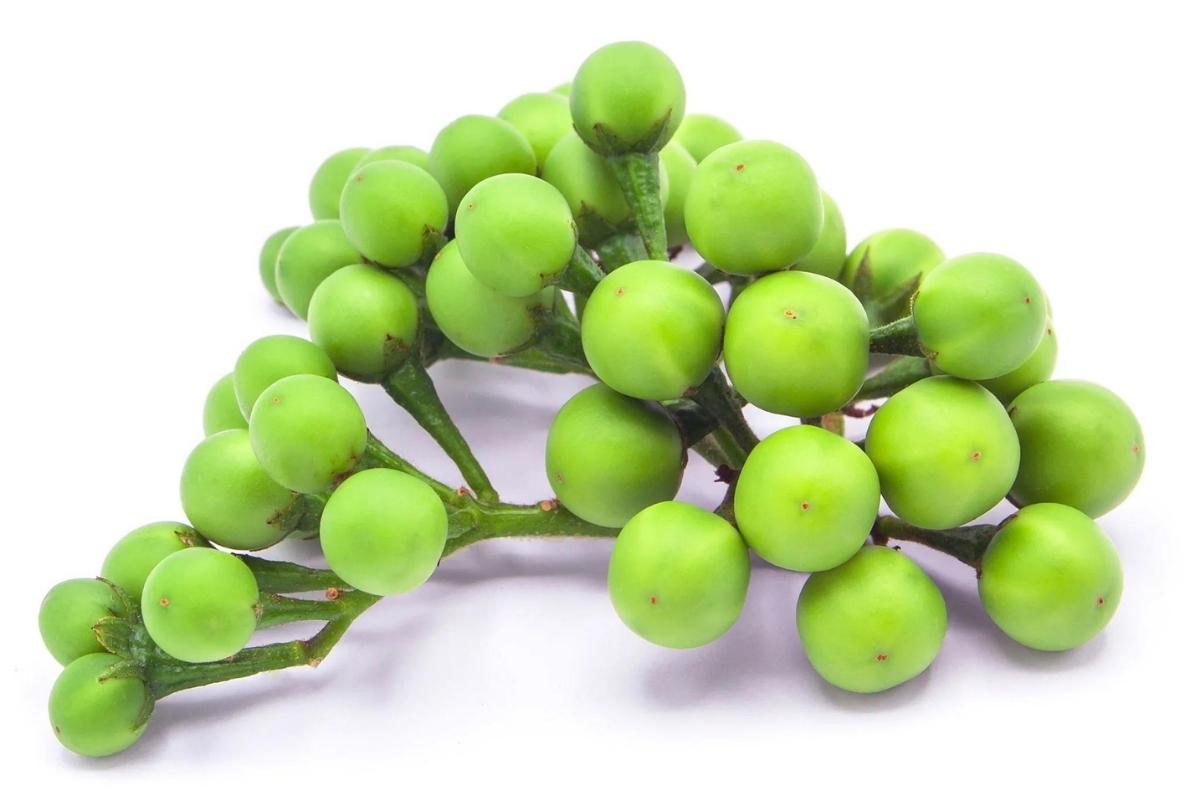 PEA Eggplant
