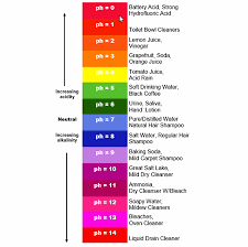 What You Should Know About the pH Scale