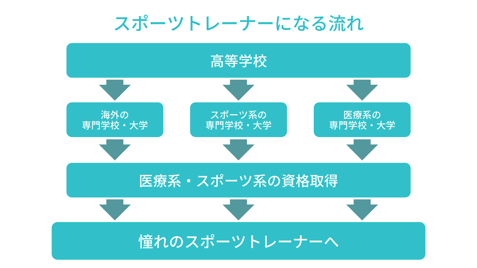 スポーツリハビリトレーナーになるには 資格や関連する職業をご紹介