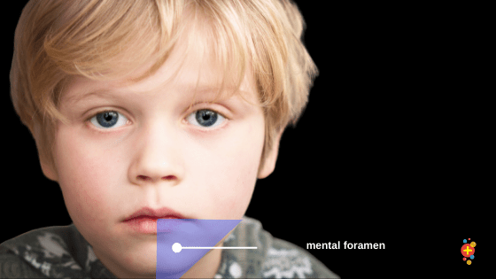 A picture containing person, indoor, little, youngDescription automatically generated