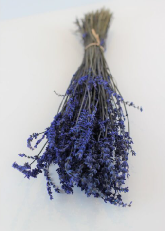 preserved lavender