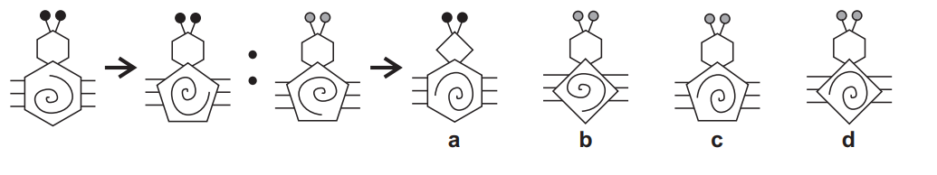 11+ non verbal test question example