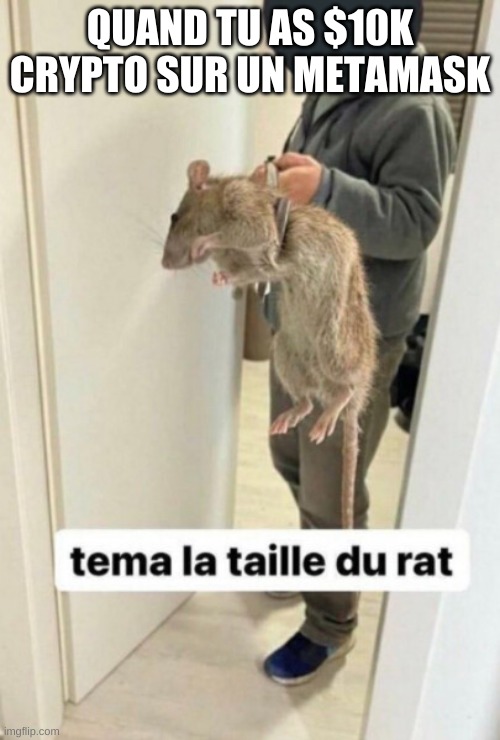 Téma la taille du rat