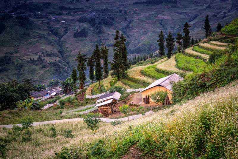 thung-lung-sung-la-du-lich-ha-giang