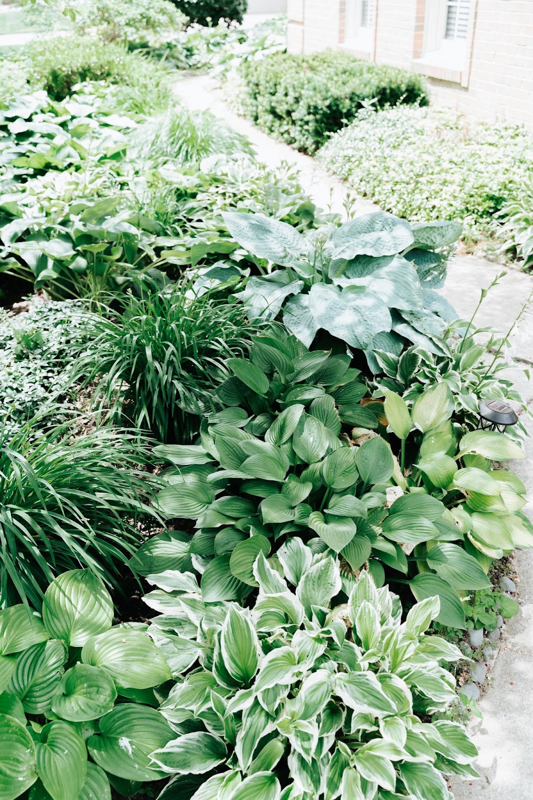 HOW TO CREATE LOW-MAINTENANCE LANDSCAPING FOR YOUR FRONT YARD image 1