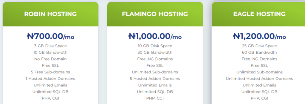 Hostnownow web hosting price in Nigeria