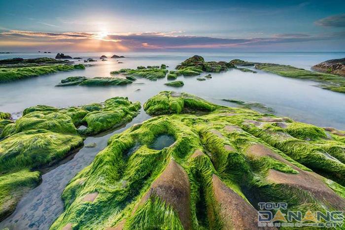 Rạn Nam Ô Đà Nẵng
