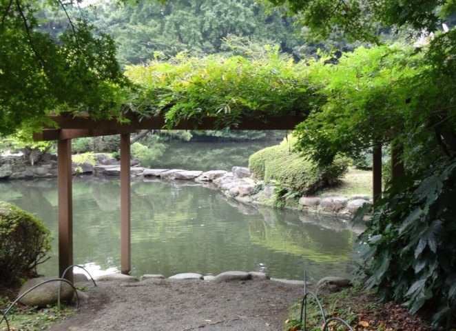 Visiting the Garden of Words in Shinjuku Gyoen - the pond