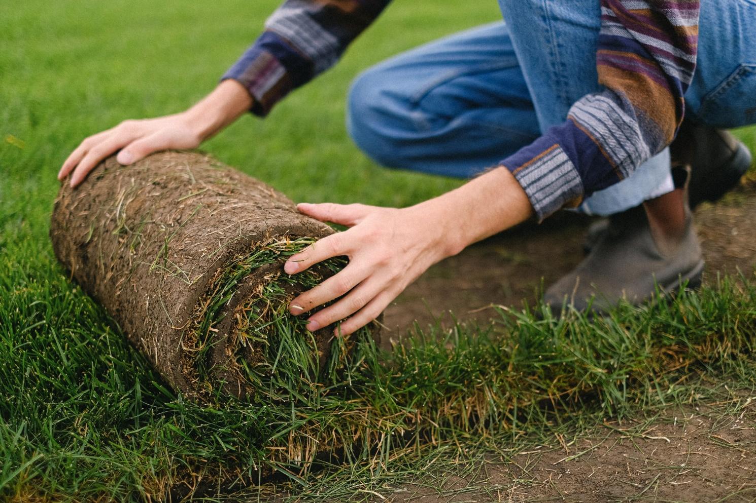 What are the Benefits of Sod - Gecko Green