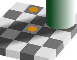 Image result for brightness constancy psychology
