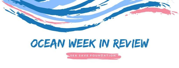 Ocean Week In Review 1