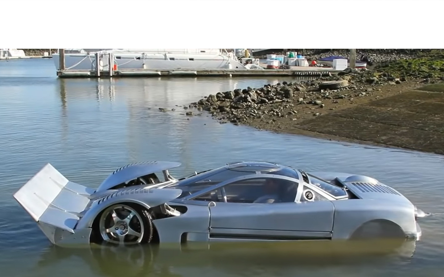 project sea lion car in water