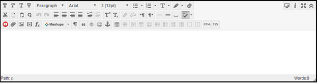 Image of the text editor with toolbars showing all the options that can be used to edit text
