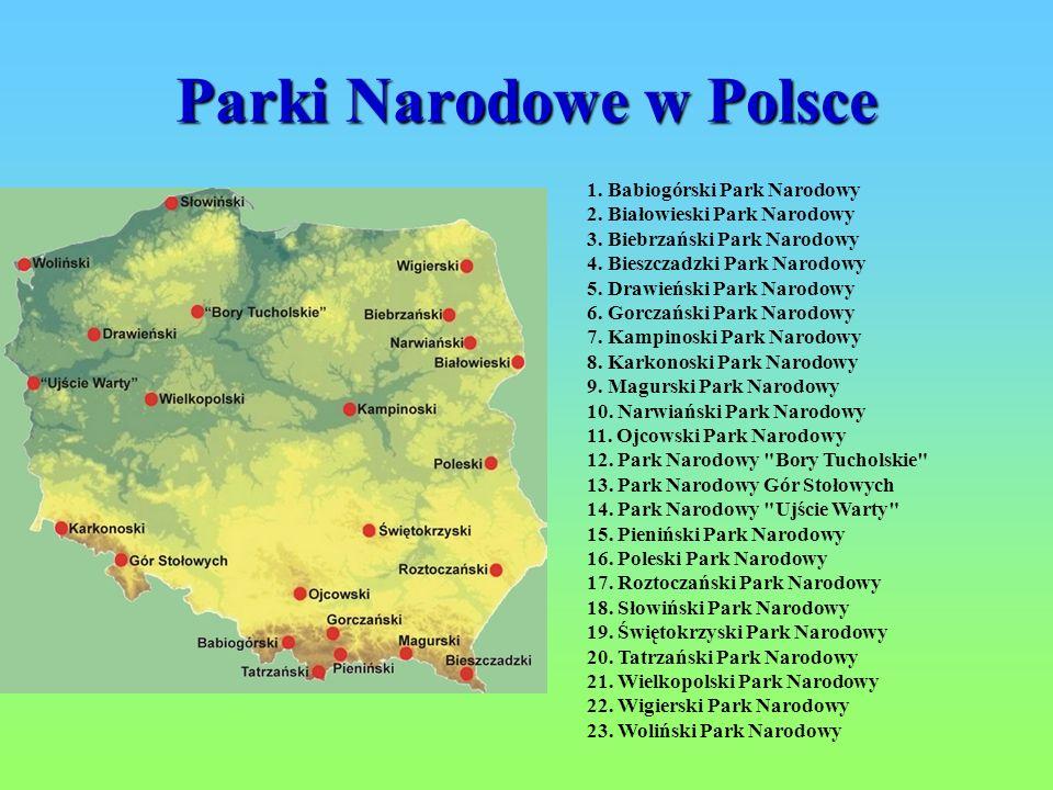 Co to jest Park Narodowy? - ppt pobierz