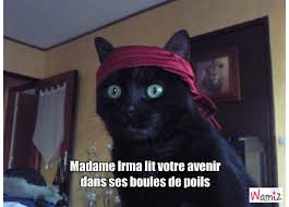 Résultat de recherche d'images pour "avenir irma drole"