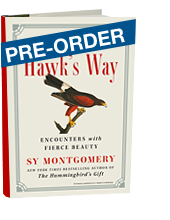 The Hawks Way: Encounters with Fierce Beauty