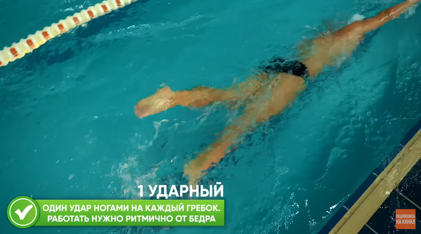 Школа плавания - Swimrocket