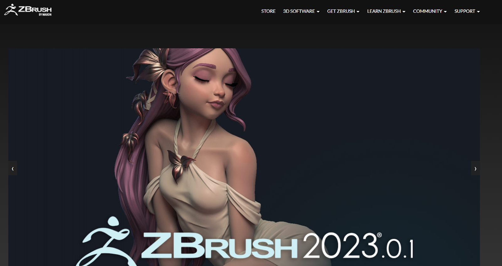 zbrush 3d printing software