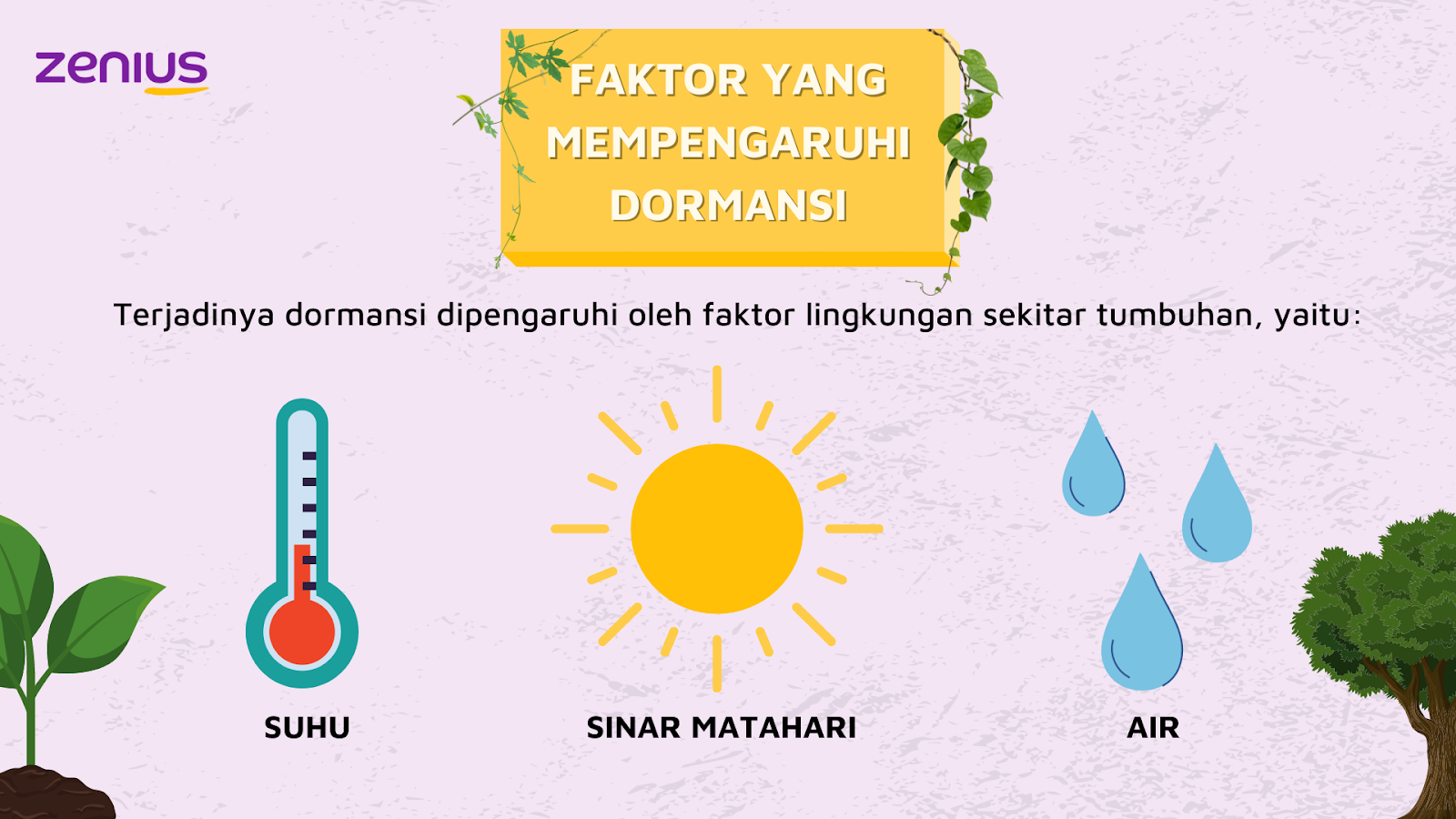 Faktor yang mempengaruhi dormansi adalah suhu, matahari, dan air.