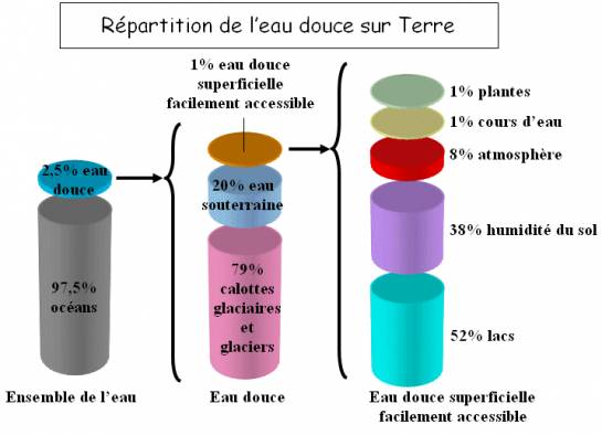 Afficher l'image d'origine